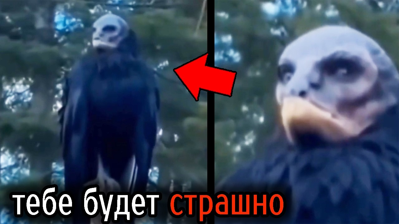 Самые Ужасные Видео со Всего Мира #147