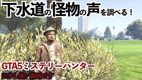 グラセフ謎
