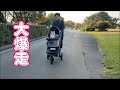 乗り物好きな愛犬をバギーに乗せて爆走してみたら反応が意外すぎた