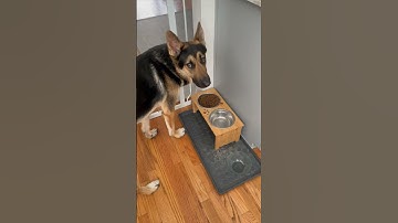 Trader Joes Run #shorts