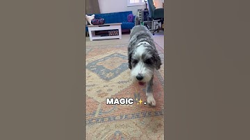 This 4K Mini WiFi Indoor Camera Has AI Motion Detection – WOW