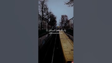 ما سلككم في سقر/القارئ مصطفى شريف
