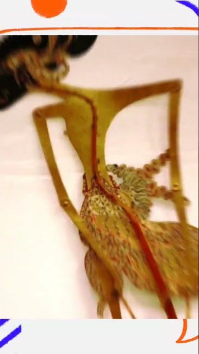 KSATRIA DHARMA #wayang #wayangkulit #jawa #indonesia #pandawa #yudhistira #youtube #shorts