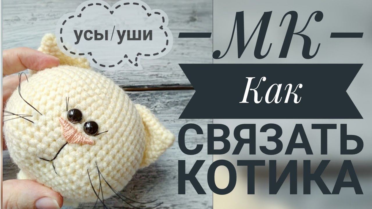 Кот японский белый