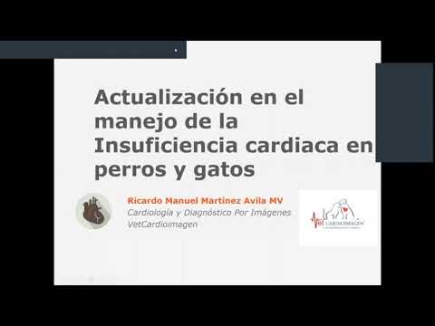 Video: Insuficiencia Cardíaca Congestiva (del Lado Izquierdo) En Los Gatos