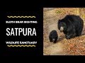Sloth Bear at Satpura National Park | Madhya Pradesh | Wildlife India