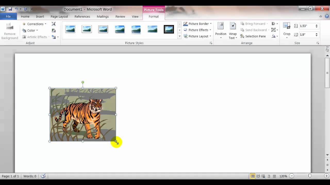 word 2010 clipart preview not working - photo #16