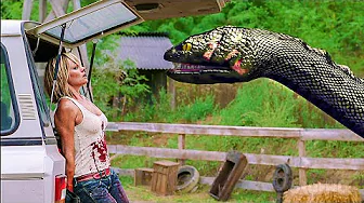 Anaconda 3: The Best Scenes feat. David Hasselhoff | Giant Snake Movie 🌀 4K