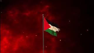 Palestine flag Animation - palestine will be free - After effect @HamdalKamilin