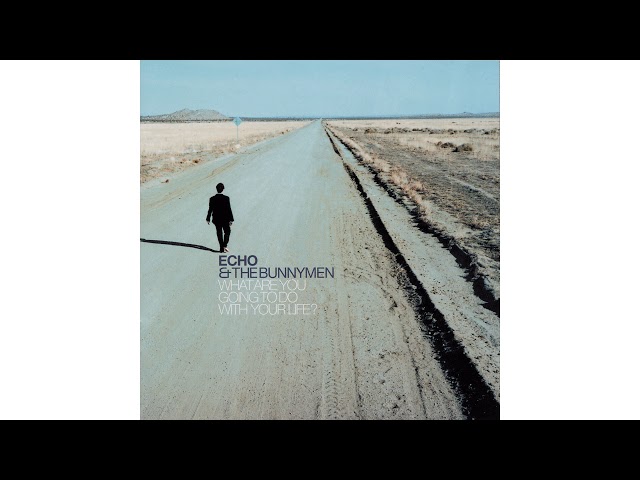 Echo & the Bunnymen - Rust