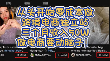 新手零成本做跨境电商独立站，三个月收入50W，做电商要动脑子！