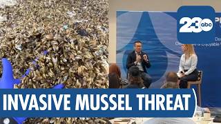 Kern County Fights to Stop Golden Mussel Spread