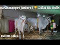 2023 narasaraopet juniors 1rk bulls venigandla ramu garu tdp incharge gudivada krishna district
