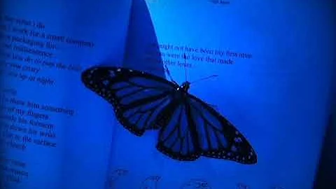 Tate McRae - All my friends are fake {8D}