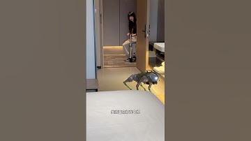 AI 智能之家｜未来家庭与机器人相遇 🏠 #AI #机器人 #未来科技 #百科密码 #搞笑 #科学技術 #funny #robot