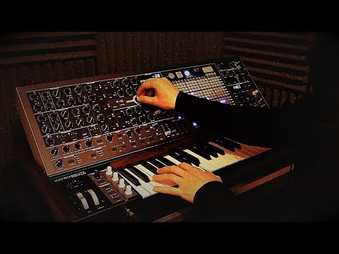 Matrixbrute/Synth Arpeggiation etc.