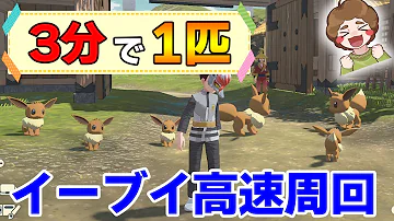 ポケモン 序盤で簡単にGET イーブイをたくさん捕まえられる周回方法を紹介 Pokémon LEGENDS アルセウス ぽんすけ 