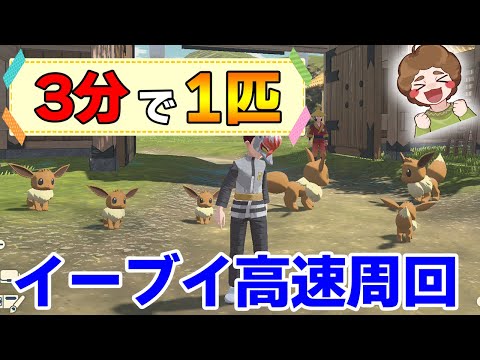 【ポケモン】序盤で簡単にGET!! イーブイをたくさん捕まえられる周回方法を紹介！【Pokémon LEGENDS アルセウス】【ぽんすけ】