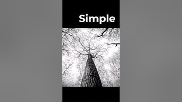 Fractals in Nature: Enjoy the Beauty of our Universe #shorts