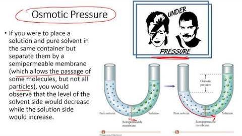 Colligative Properties - Osmotic Pressure  Lecture Video