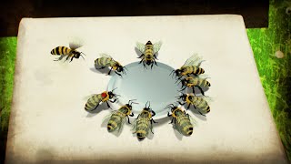 El lenguaje de las abejas | NATIONAL GEOGRAPHIC ESPAÑA