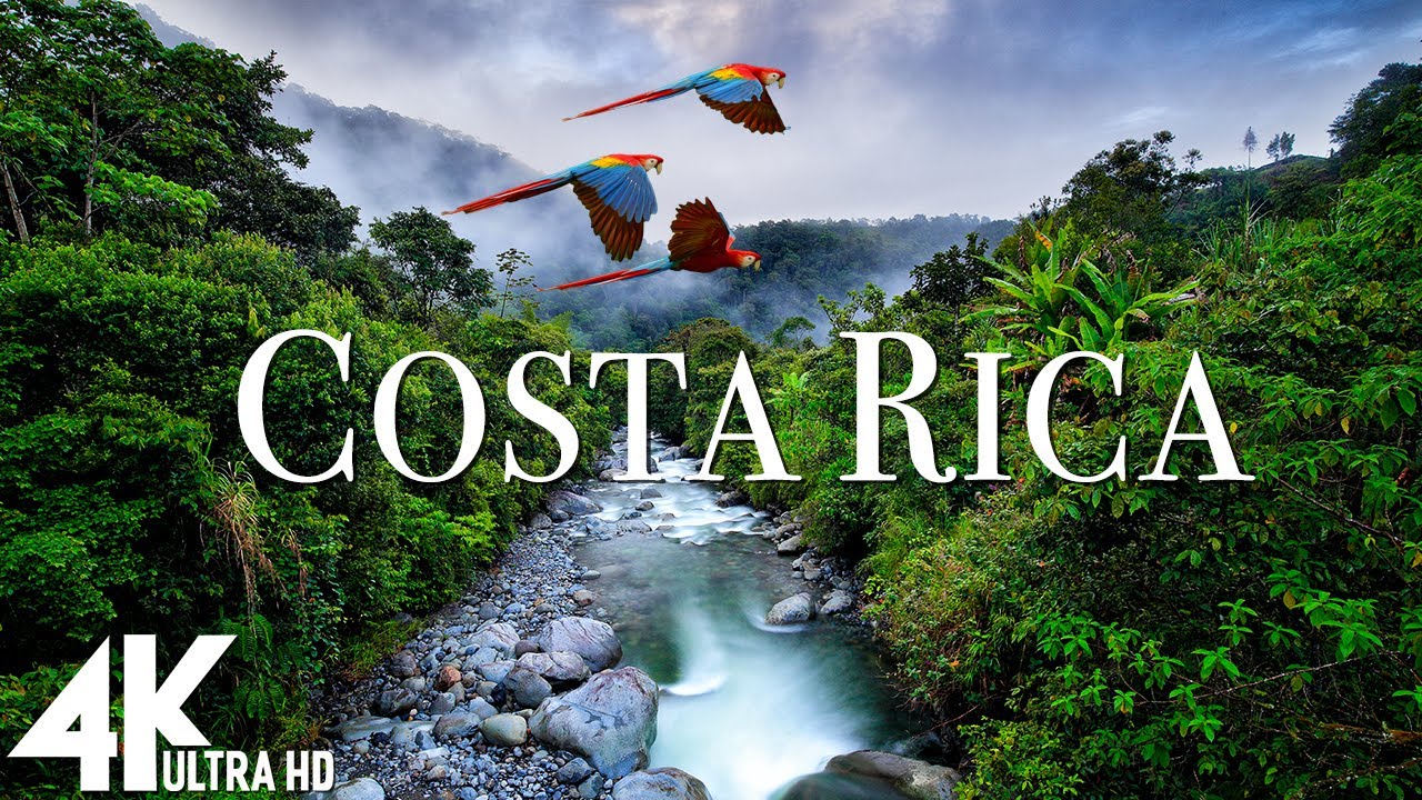 Costa Rica Rainforest 4k Happiest Country On Earth With Exotic 