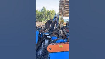 Wood Debarking Machine is so smoothly #spindlelessmachine #wooddebarker   Mesin Debarking