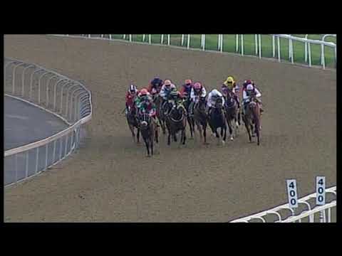 20190501 Greyville express clip Race 8 won by MISS CALYPSO
