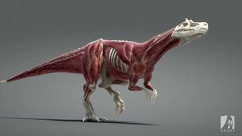Ziva VFX | R&D Dino Breakdown by GhostVFX