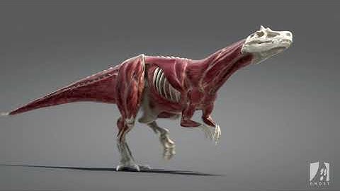 Ziva VFX | R&D Dino Breakdown by GhostVFX