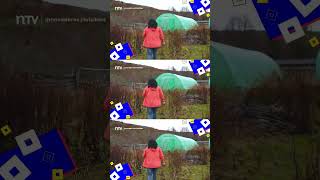 En la inmensidad de Aysén, hay mujeres que transforman el bosque en un negocio sustentable