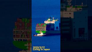 One day #living in #japan 2025/3/17 #a7r4 #fx3 #iphone15promax #iphone16pro