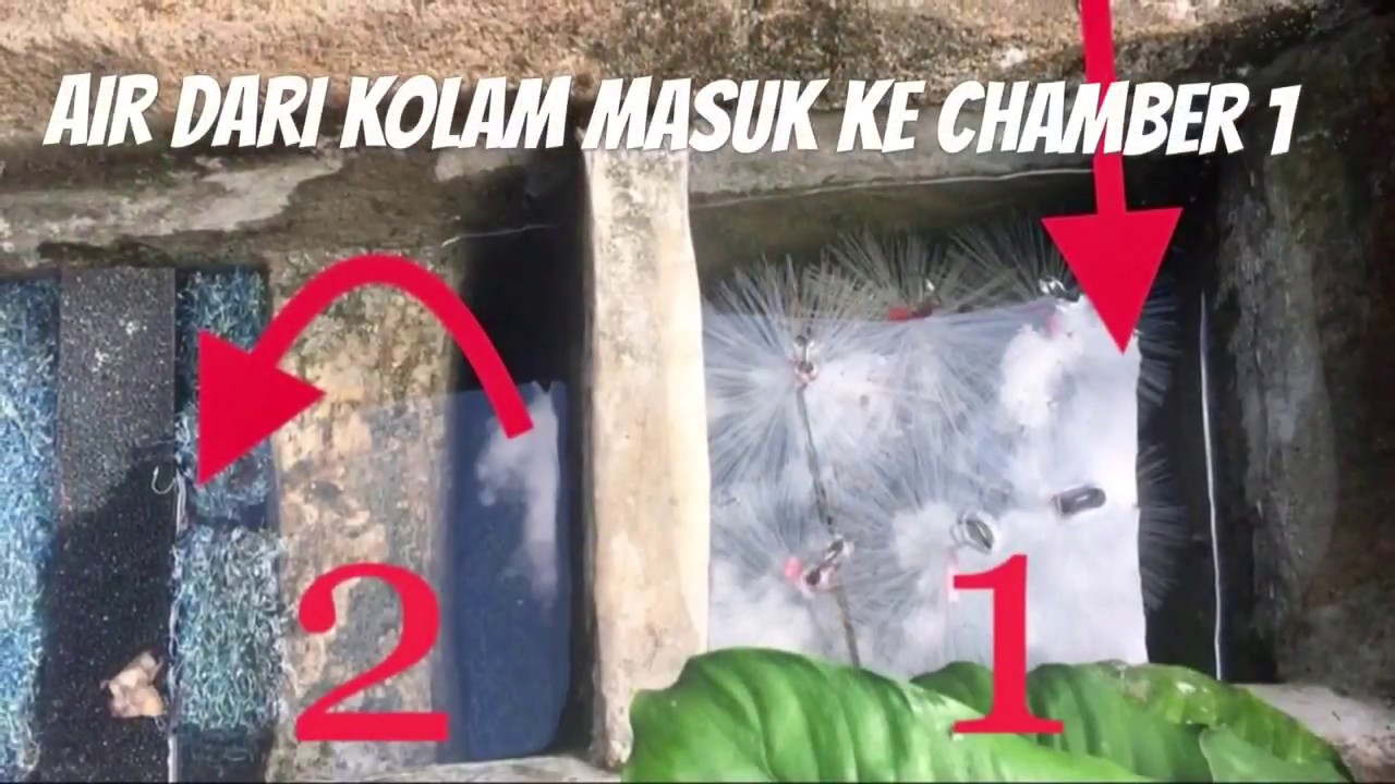 Filter kolam ikan model batu tebing - YouTube