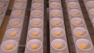 English Muffin Line Production Lines