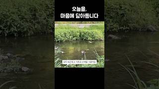 멍때리기 좋은 영상/계절은 벌써 여름을 향해 가고, 우리는 오늘을 천천히 함께 걸어갑니다.  #힐링영상 #자연 #일상브이로그