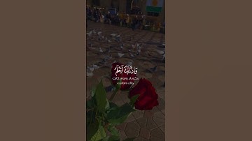 وإن ربك لذو فضل على الناس ولكن أكثرهم لا يشكرون | سورة النمل | القارئ سعد الغامدي