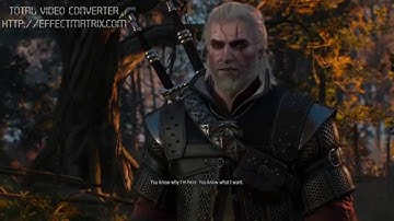 Witcher 3 Debug Mod Beauty