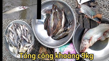 Câu cá chốt giấy mà dính toàn cá leo và cá tra không- Tập 108-NguoiVoHinhTV