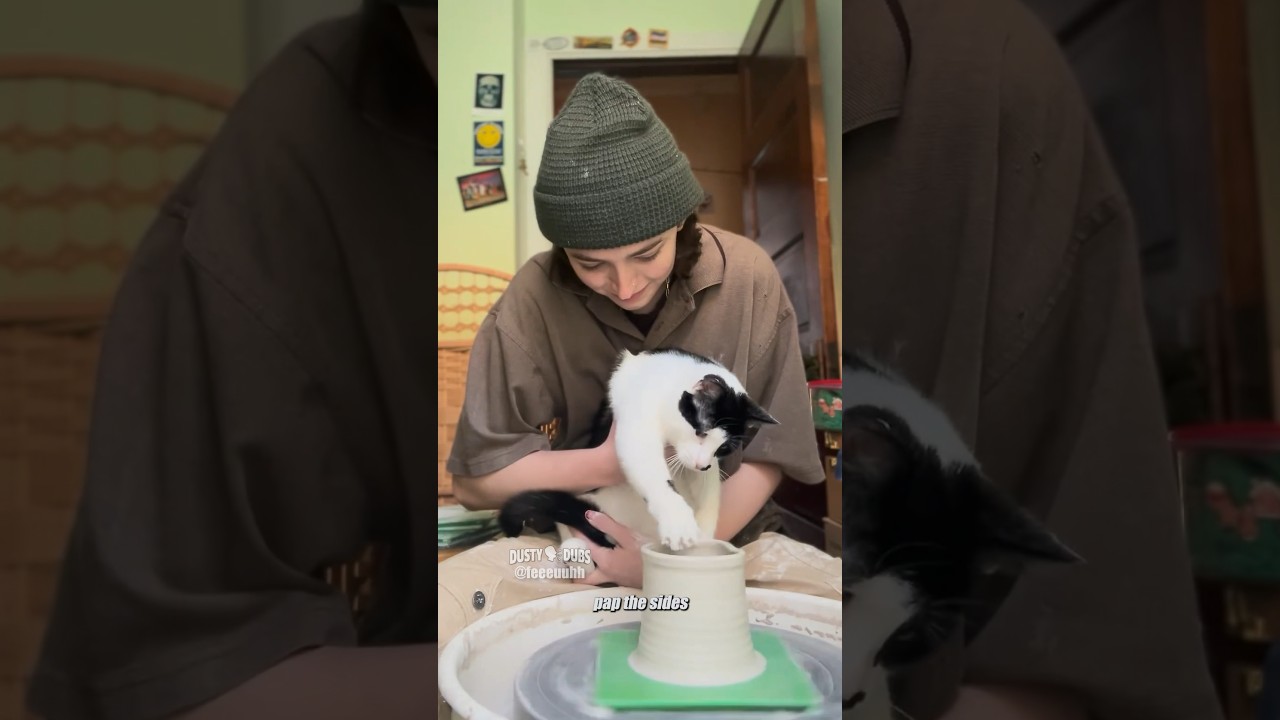 Claymaking Cat ?: feeeuuhh (IG) #shorts