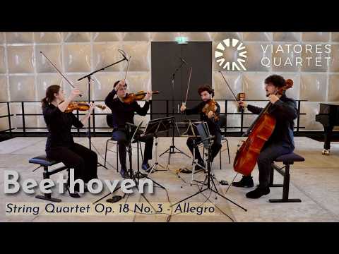 Viatores Quartet | Beethoven - String Quartet in D major, Op. 18 No. 3 - I. Allegro