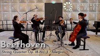 Viatores Quartet | Beethoven - String Quartet in D major, Op. 18 No. 3 - I. Allegro