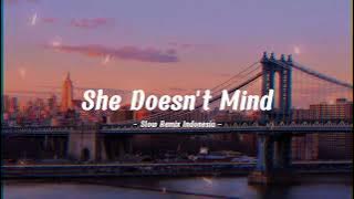 Download lagu Adem Lagu Barat Slow Remix !!! She Doesn't Mind 2023