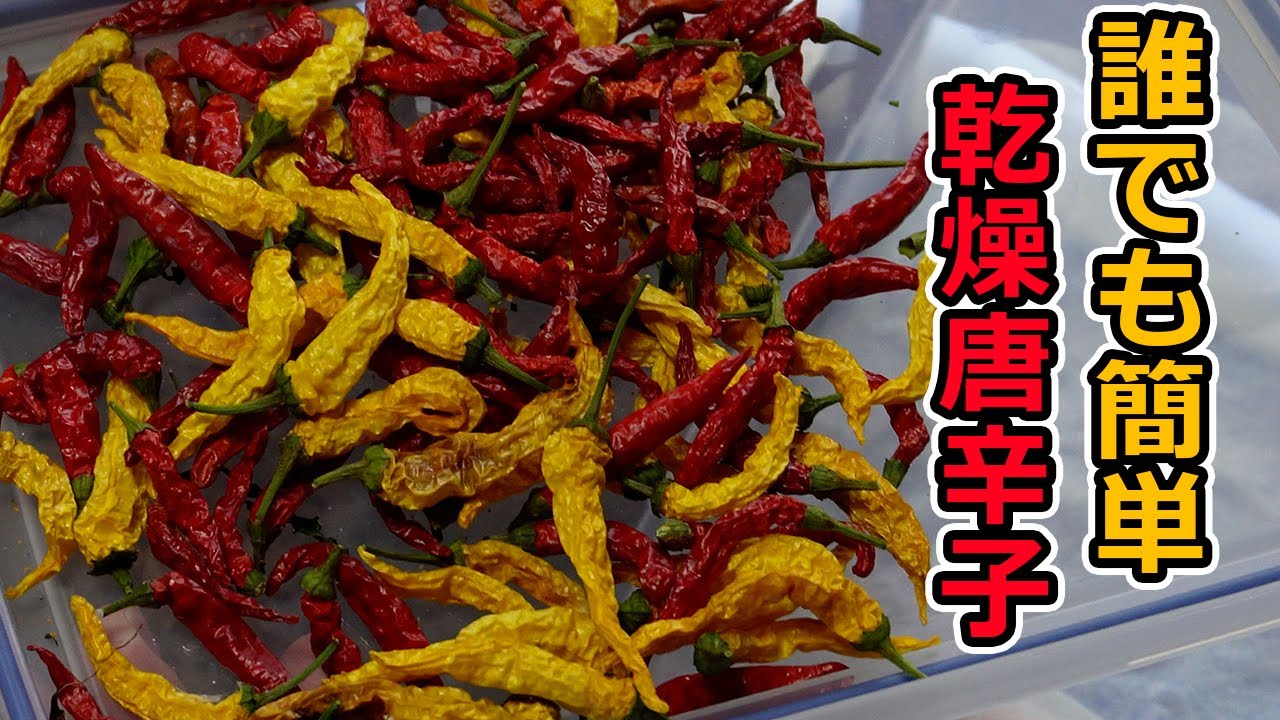 自作調味料】干す場所が無くても簡単に作れる乾燥唐辛子 - YouTube