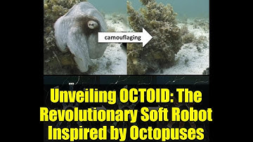 Unveiling OCTOID: The Revolutionary Soft Robot Inspired by Octopuses
