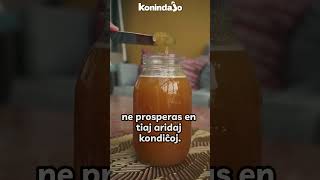 Ĉu Ora Nektaro Kiu Neniam Difektiĝas?