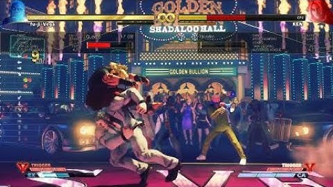 Aegis reflector max damage setup