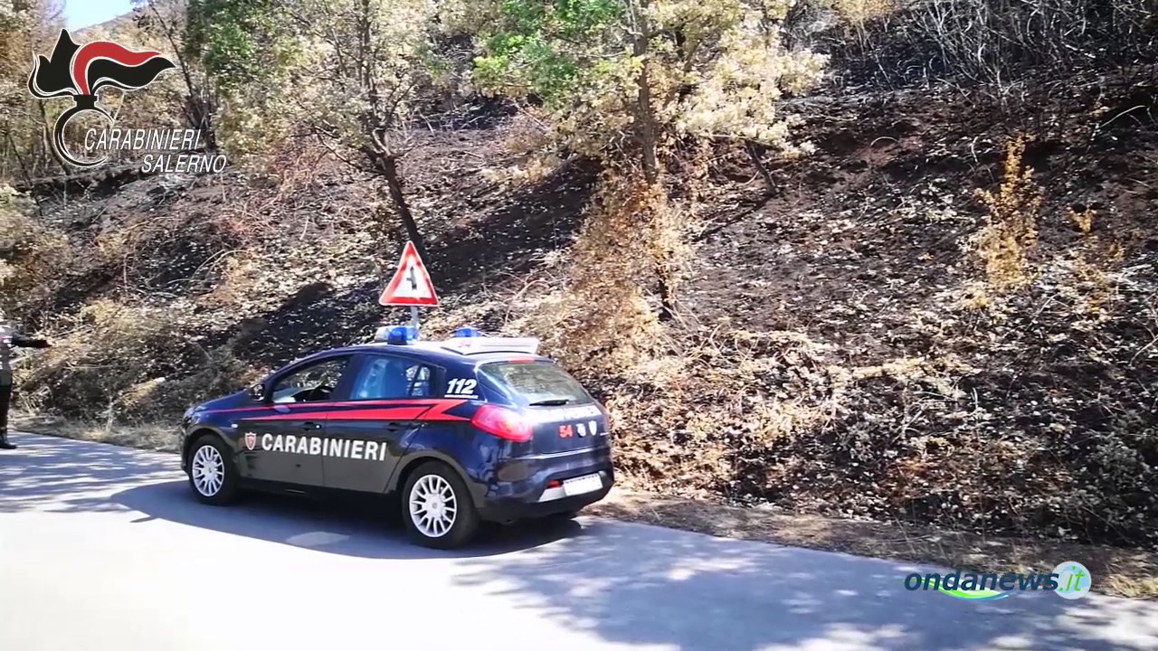 Teggiano: scoperto da un carabiniere mentre appicca un incendio. Arrestato 24enne piromane - YouTube Onda News
