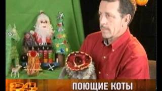 Поющие коты Поющие коты