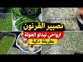 سر العولة كيفاش صب رت القرنون وخز نت الفول والجلبانة بذكاء