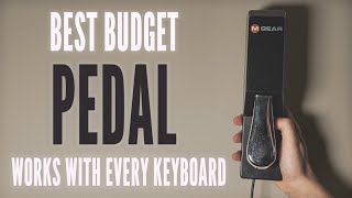 M-Audio SP-2 universal sustain pedal review // Best budget sustain pedal 2020